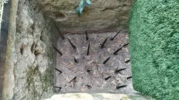 В Краснодаре  лифт сорвался и пролетел несколько этажей