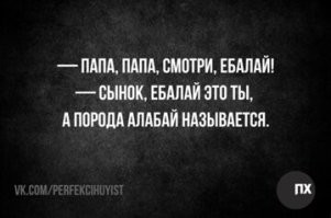 Какие породы собак победят волка или медведя?