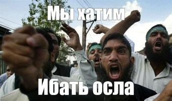 Бородач неприятно удивил жителей дома в Калуге