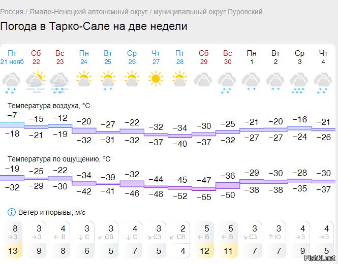 Солянка от 20.11.2025