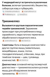 Ну... Болеть за медведя. 
Вместо него, значит. 
Вот и спрашиваю, чем? 

.

.

.

Шутка.