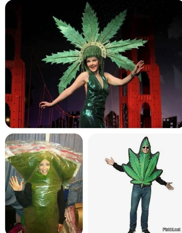 Это Германия. 

Нидерланды вот: