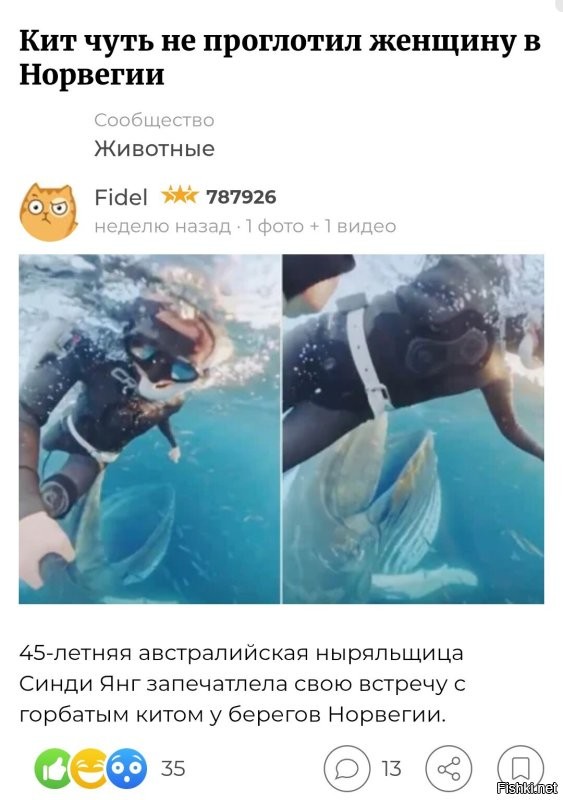 Вот неугомонная, первого раза ей не хватило!