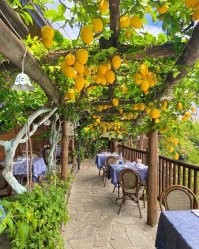 Там сидеть не безопасно, может и по темечку залимонить. ))