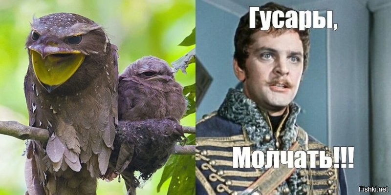 18 трогательных моментов из жизни семейств диких зверей и домашних животных