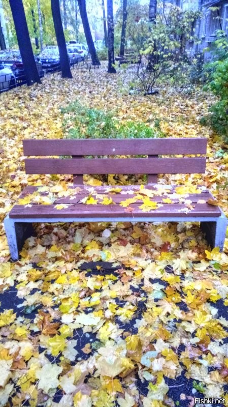 Солянка от 22.11.2025