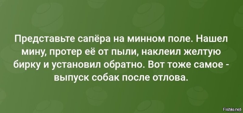 В Сухом Логу полицейский застрелил агрессивного алабая и стал жертвой травли зоозащитников