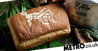 Т.е. сверчки, кузнечики и прочие насекомые уже неактуальны?
Все на "тихую охоту"?