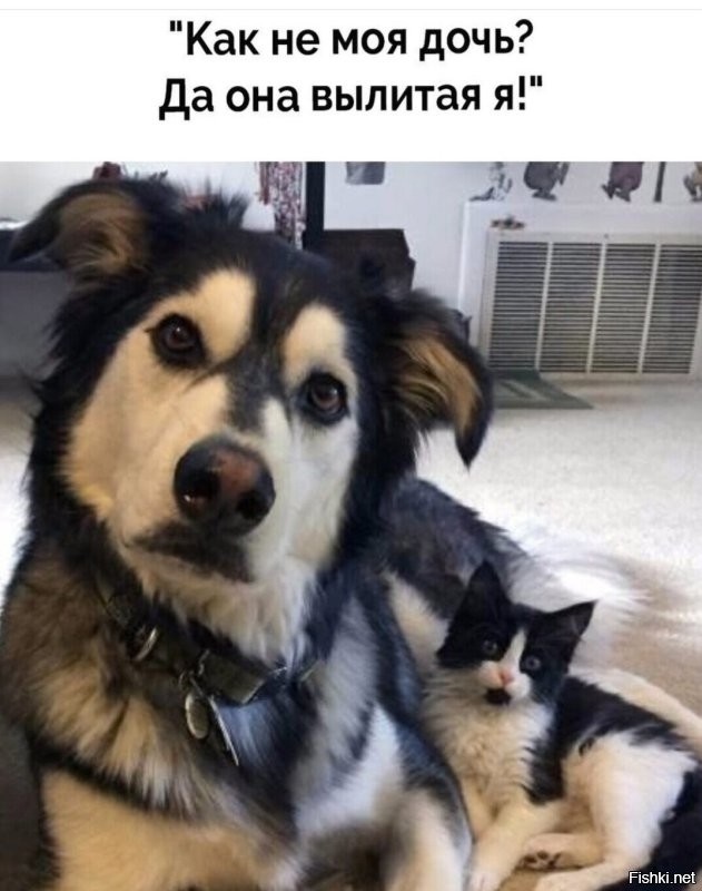 Доброго утра