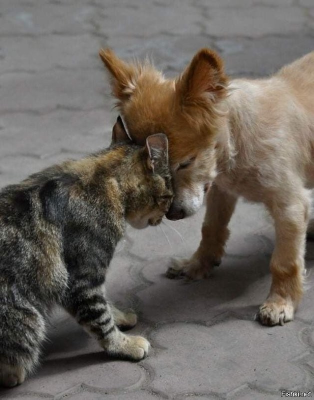 Доброе утро