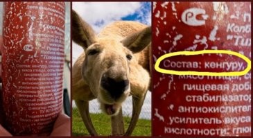 Да и не только кенгуру...