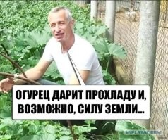 С огурцами да, опасно.