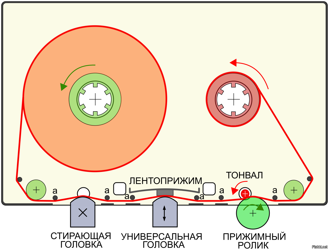 Любой кассетник с реверсом имеет два тонвала, об этом не задумывались?
А головок помещается и две и три.