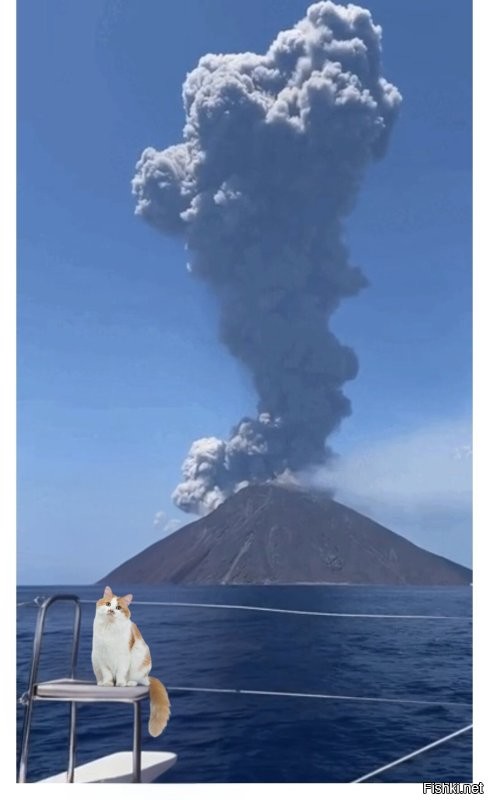 Прогнал тётку.