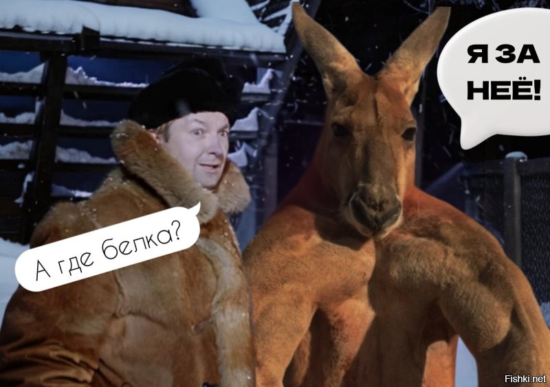 Правда ли, что в Австралии разводят и едят кенгуру, как коров или овец?