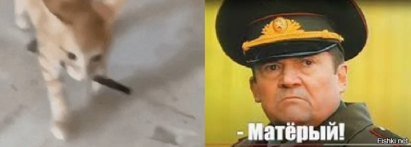 Просто гифки, всякие и&nbsp;разные