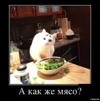 Китайские учёные создали гриб, который может заменить мясо