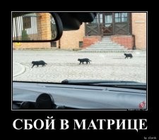 Подборка забавных совпадений на футбольном поле