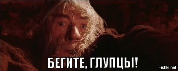 Обычная активность для рыжих котов