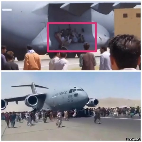 Так надо было на колёса как эти -