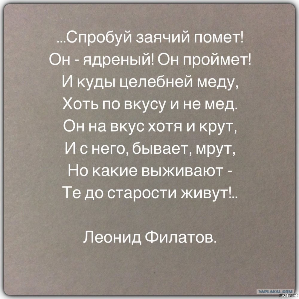 Особое отношение индийцев к навозу