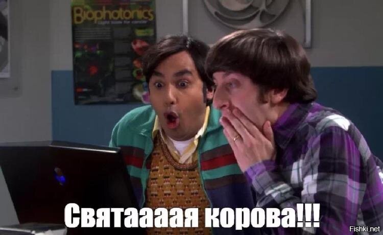 Особое отношение индийцев к навозу