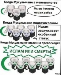 Австралийского сенатора выгнали с заседания парламента из-за паранджи