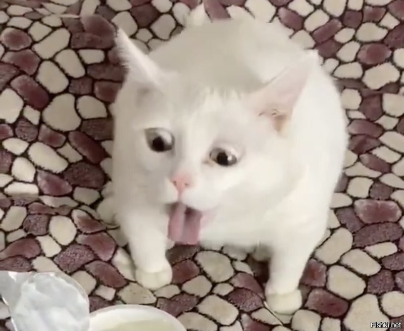 Особое отношение индийцев к навозу