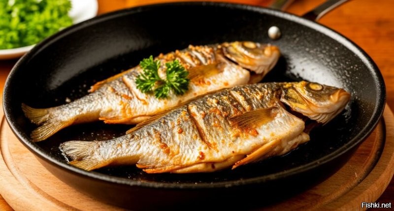 Тропическая рыба напала на мужчину