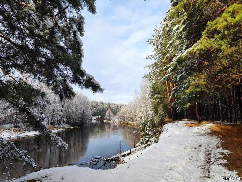 Солянка от 25.11.2025