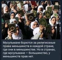 Австралийского сенатора выгнали с заседания парламента из-за паранджи