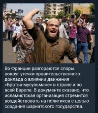 Австралийского сенатора выгнали с заседания парламента из-за паранджи