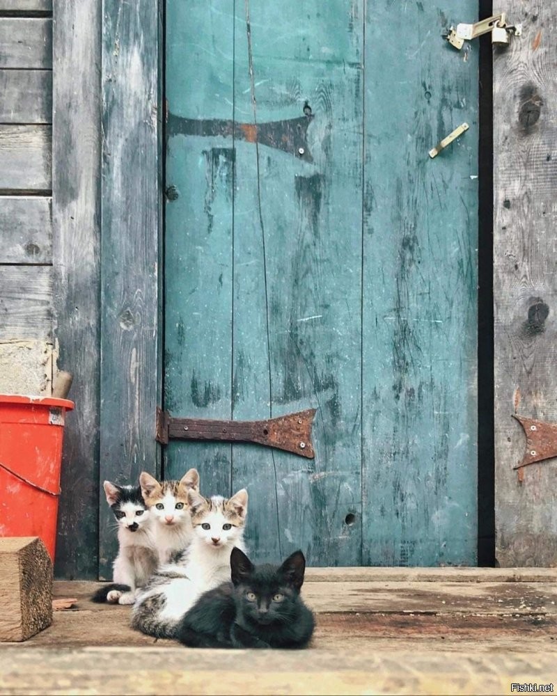 Солянка от 25.11.2025