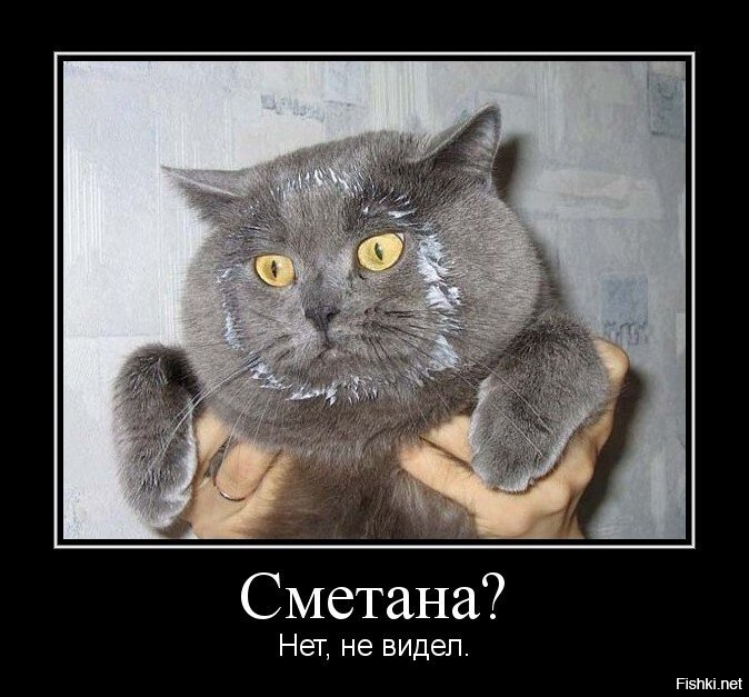 Чашка для усачей