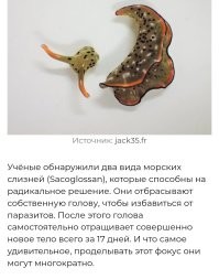 Тогда уж тело отбрасывает, а не голову.