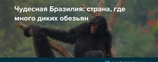 Неуклюжий вор застрял в банке