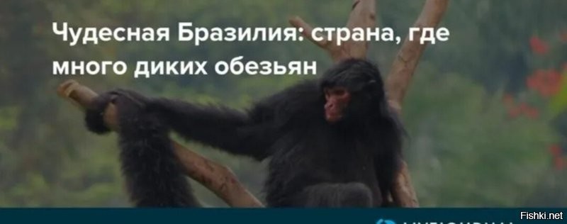 Неуклюжий вор застрял в банке