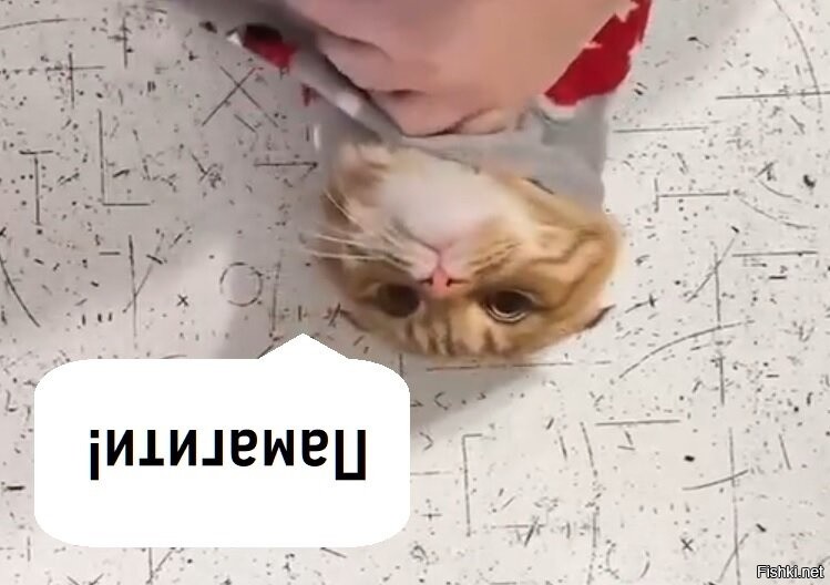 Солянка от 25.11.2025