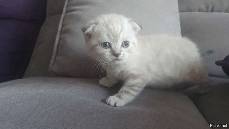 Это мой, в первый день после покупки