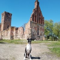 У нас не только форты. Есть и кирхи, и башни водонапорные и много всякого и не только развалки.