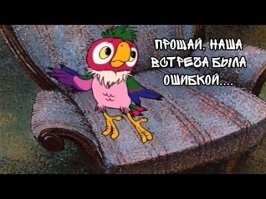 Пернатый любитель ночных вечеринок