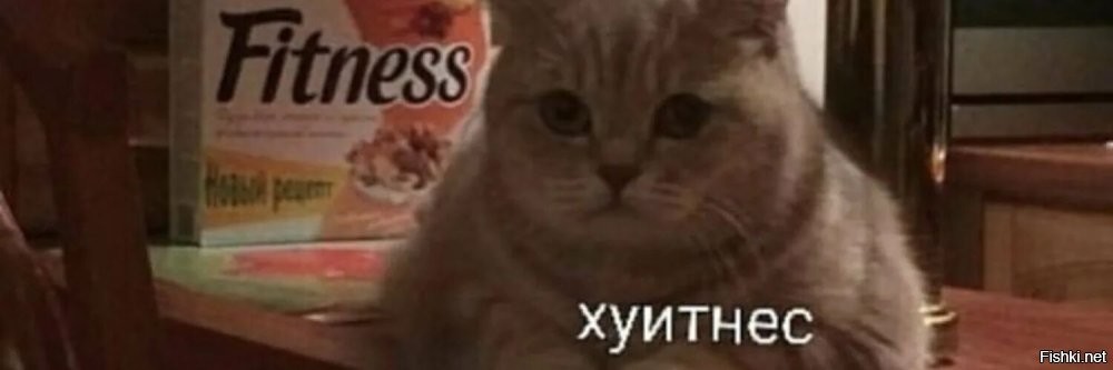 Популярный оренбургский фитнес-блогер умер во время марафона по набору веса