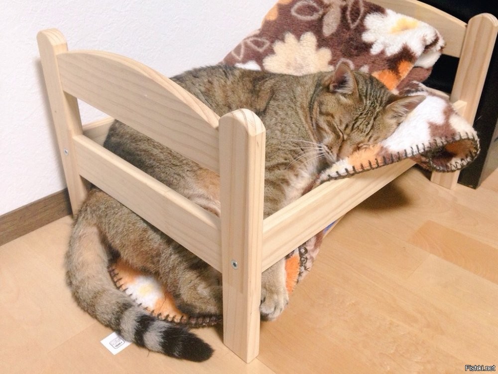 Солянка от 26.11.2025