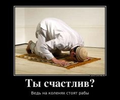 В Кемерово оштрафовали мигрантов, совершивших публичный намаз в супермаркете