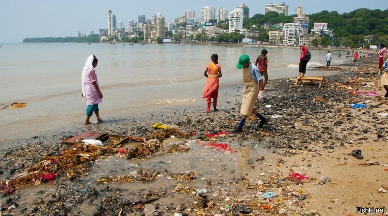 Неужели в Индии остались места где не нагадили люди ...