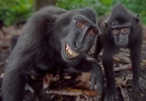 Деньги есть? Нет! 
А если найду!?