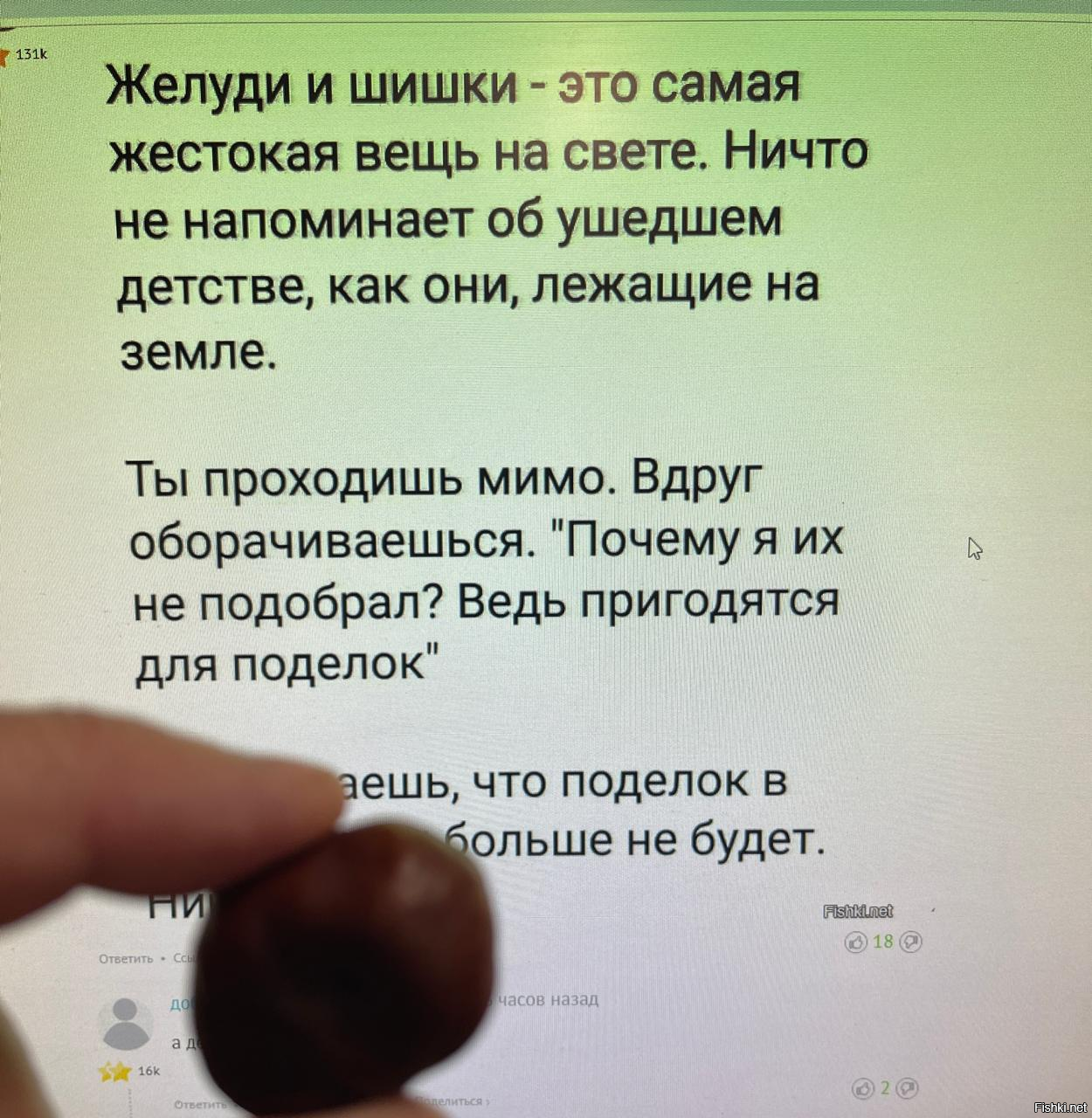 Неправда, вот каштан подобрал, приятный. Мальчик 56 лет