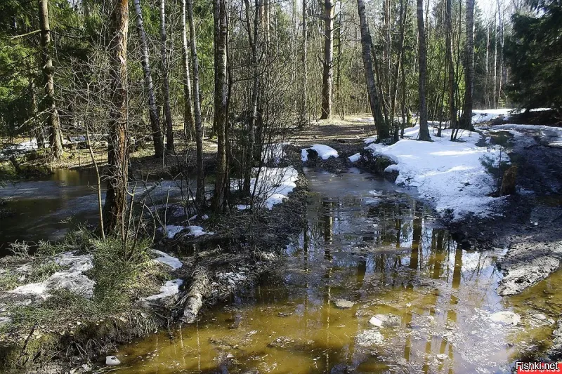 Кто спорит...