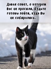 Для ,,обожаемой" всеми говорящей головы.