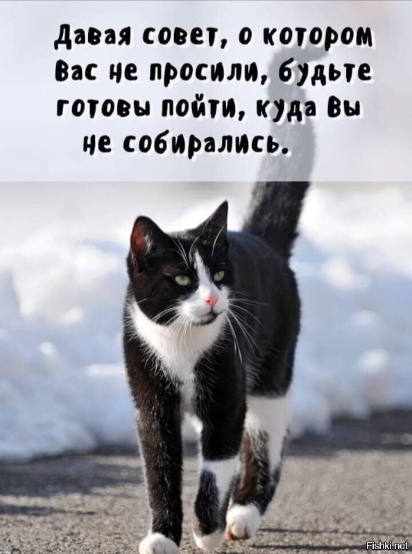 Для ,,обожаемой" всеми говорящей головы.